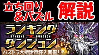 【パズドラ】大感謝祭杯2 パズル苦手な人が王冠狙うならこれ！！ オススメの立ち回りと組み方解説！！ ランダン [upl. by Goldberg977]