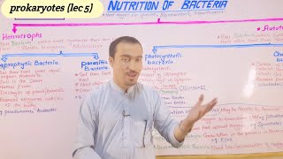 Nutrition of BacteriaAutotrophsHeterotrophssaprophyticParasiticPhotosyntheticChemosynthetic B [upl. by Kaine578]