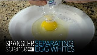 Separating Egg Whites and Egg Yolks  Cool Science Experiment [upl. by Sera]