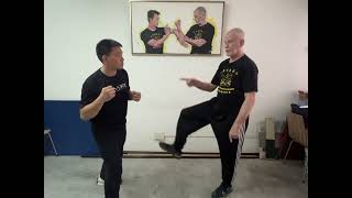 ‘WSL Ving Tsun Kuen Hok’  breaking it down 74  the ‘Ving Tsun Kuen Kuit’ Pt 8 [upl. by Esinrahc]