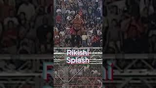 Flying Giants wwe wrestling moments flying giants [upl. by Hsakaa]