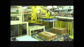 Palletizing robot with Vuototecnica double Octopus head [upl. by Oelc540]