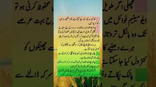 Koi bhi bimari ho ye paro Dekho Hakeem luqman allamaiqbal quotes sadpoetry trending youtuber edi [upl. by Nebra]