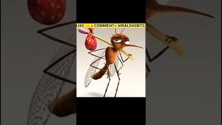 Why Mosquitoes Bite 😱 Most Dangerous Insect in The World  MOSQUITO  shorts short [upl. by Dombrowski814]