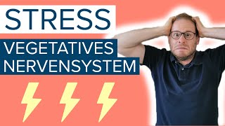 ⚡Stress und vegetatives Nervensystem  Ist das der Grund für deine Beschwerden [upl. by Kaile781]