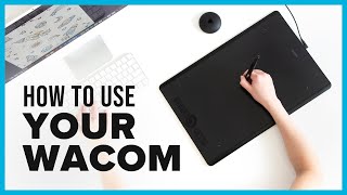 Wacom Tablet Tutorial amp Best Setup for Graphic Designers [upl. by Nosredna804]