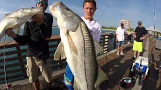 Snook Fishing Juno Beach Pier Part II And Jigging For Jewfish [upl. by Lubba]