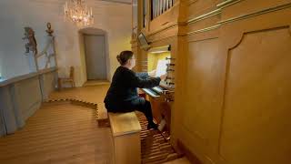 Lunchmusik i Huddinge kyrka 31 mars 2021”Orgelmusik i stilla veckan” [upl. by Ailimaj205]