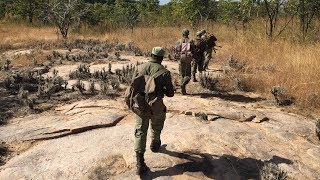 Niassa Elephant Defenders Fulllength version [upl. by Nemzzaj37]