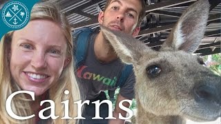 Visiting Cairns Australia  Tons of crazy nature amp animals [upl. by Wardlaw]