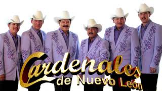 LOS CARDENALES DE NUEVO LEON MIX SOLO DOLIDAS [upl. by Fretwell]