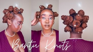 Bantu Knots On Natural Hair  Protective Hairstyles On Natural Hair [upl. by Balch]