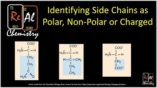 Identifying amino acid side chains as polar nonpolar or charged  Real Chemistry [upl. by Enttirb]