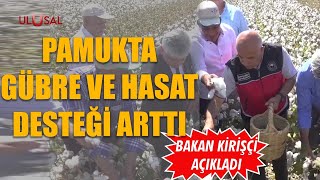 Pamukta gübre ve hasat desteği arttı [upl. by Deina909]