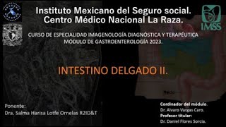 INTESTINO DELGADO II 2023 [upl. by Yllier]