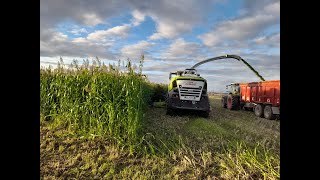 MAIS SILAGE NAVARRA 2023 [upl. by Eignat]