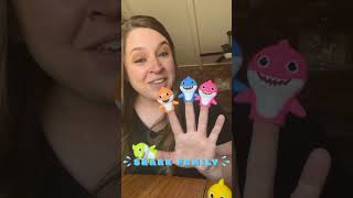 CUTE Baby Shark Finger Family Song🦈 kidssongs toddlersongs [upl. by Artinak]