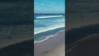 Catch a Wave  Beach Boys  Ocean Beach San Diego Surfing [upl. by Yddur]