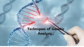 3 Southern Blots and Restriction Fragment Length Polymorphisms RFLPs [upl. by Anelrihs544]