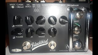 EFFECTRODE BLACKBIRD TEST [upl. by Sanchez]