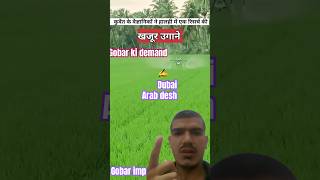 Dubai or arab k desh gobar ki demandvkyu karte h youtubeshorts trending gobar info arab demand [upl. by Enrobialc]