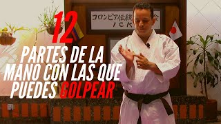 🤜12 partes de la mano🤛 TÉCNICAS DE MANO EN KARATE💥 [upl. by Allicsirp292]