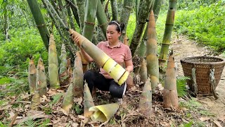 Harvesting Giant Bamboo Shoots  Preservation Process  Lý Thị Ca [upl. by Etnaid]