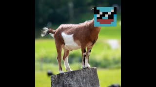 hypixel montage 4 WE BACK IN BUSINESS [upl. by Lavinie]