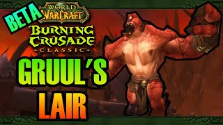 Gruuls Lair Testing  WoW Burning Crusade Classic BETA [upl. by Nos253]