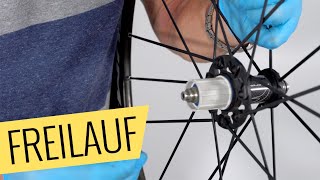 Fahrrad Freilauf austauschen  einfach amp schnell  Fahrradorg [upl. by Zorine]