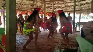 Embera traditional dance [upl. by Washington]