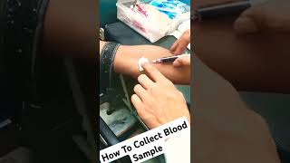 How To Collect Blood SampleBlood sample collection processlabtechnician bloodsample collection [upl. by Hallett]