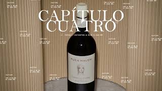 El Vino en Capítulos  Ruca Malen [upl. by Assiled]