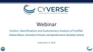 Webinar Evolinc – Identification and Evolutionary Analysis of lncRNA [upl. by Elyac109]