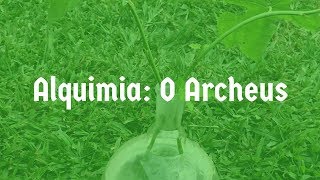 Alquimia O Archeus [upl. by Schulein]