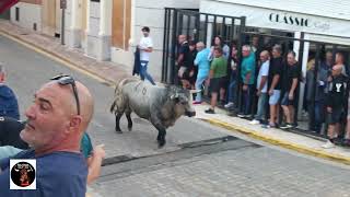 ALMENARA  CS  2192024 DOS TOROS CERRILES DE PARTIDO DE RESINA [upl. by Yuille347]