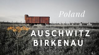 Auschwitz Birkenau Tour Poland auschwitz birkenau holocaust [upl. by Ultann]