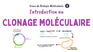 Introduction au clonage moléculaire de lADN [upl. by Eiramit614]