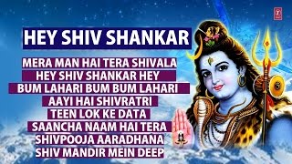 Hey Shiv Shankar Shiv Bhajans By Suresh Wadkar Anuradha Paudwal I Full Audio Songs Juke Box [upl. by Orman604]