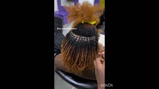 NATURAL HAIR TWIST STYLES  TWIST HAIRSTYLE FOR NATURAL  MINI TWISTS braids hairstyletwist [upl. by Hescock963]