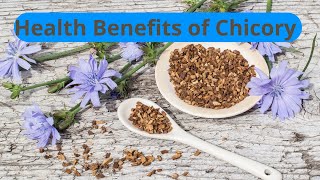 quotThe Incredible Health Benefits of Chicory Revealedquot [upl. by Nyltac]