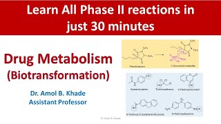 Drug Metabolism Part 5 Phase II reactions [upl. by Linda]