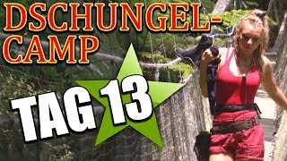 TAG 13 im DSCHUNGELCAMP 2019 ALLE GEGEN EVELYN [upl. by Wurtz385]