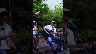 IWAN FALS KE AVIARY IRFAN HAKIM  CIPTAKAN LAGU DARI ALAM shorts iwanfals viral trending [upl. by Adnol]