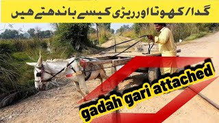 khota rari  Ghada gari attached system  gadah gari ride [upl. by Belanger]