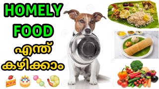 മനുഷ്യന്‍റെ ആഹാരം നായയ്ക്ക് കൊടുക്കാമോ 🥙 Homely food for dog  Laze media  dog training malayalam [upl. by Bondie]