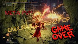 Endurable Frenzy Build OP Meta [upl. by Iraj]