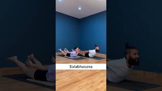 Salabhasana  5 Steps to Reach Locust Pose  Iyengar Yoga [upl. by Suoilenroc]