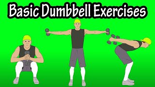 Basic Beginner Introductory Easy Dumbbell Workout Exercises For Beginners At Home At The Gym [upl. by Godbeare]