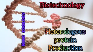 heterologous protein productionzoology biology biotechnology trending [upl. by Miguelita]